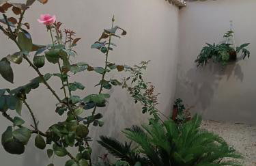 Casa Limoeiro - Foto 27