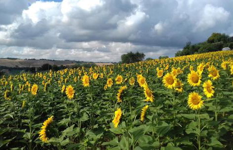 casa Nenella - Foto 33