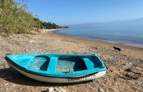 Villa Delfini - Foto 39