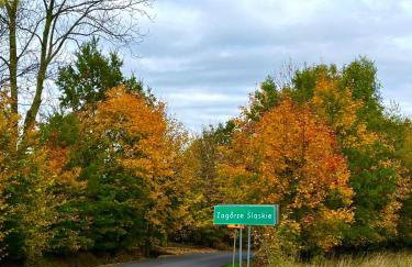 Brzozowa Osada - Foto 72