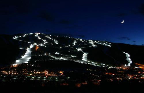 Lenawee 1728 by SummitCove Lodging - Foto 33