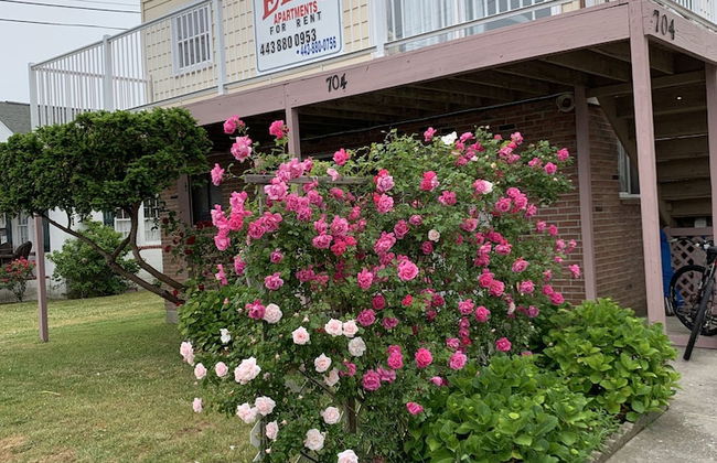 ELIS APARTMENT - Foto 1