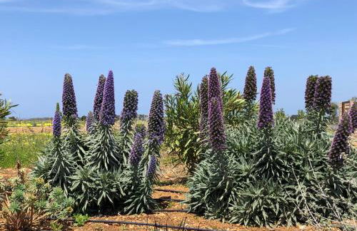 Quinta do Planalto Vicentino - Casas de Campo - Photo 56