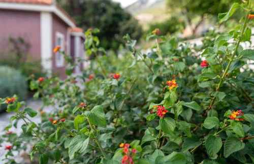 Lorraine's Cottage Style Studios, shared swimming pool and bbq only for guests at Simotata village - Photo 77