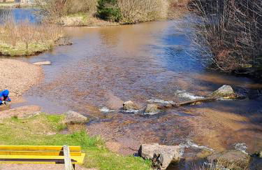 Les Papillons - Foto 11