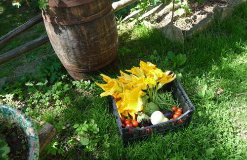 SO MAGIC - La casa nel bosco - Foto 62