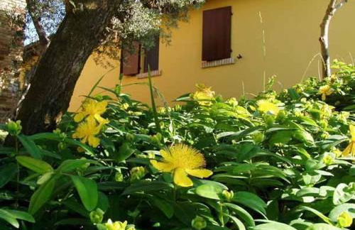 Agriturismo Tenuta Santa Maria - Foto 22