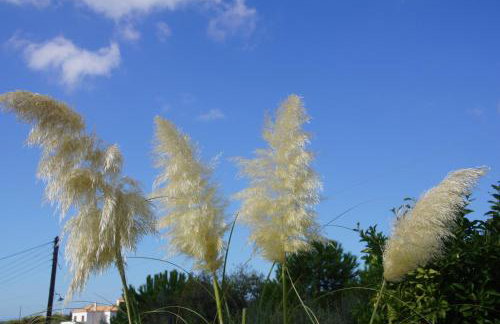 Villa Desiree - Foto 51