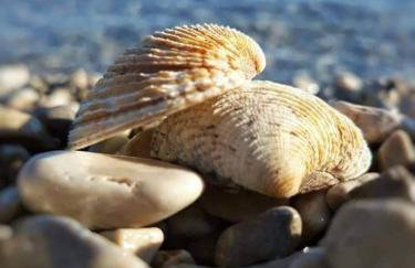 APARTMANI NOVA - Photo 11