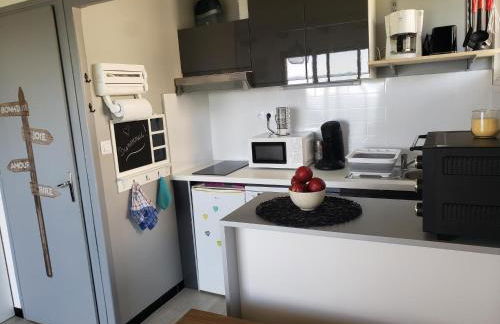 VUE PANORAMIQUE SUR LES PYRÉNÉES - Photo 8