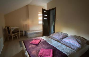 Maciejówka Gospodarstwo Agroturystyczne - Foto 9