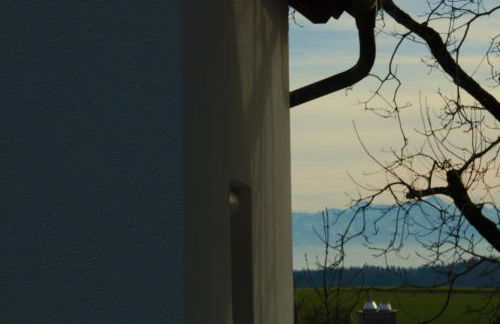 Ferienhaus mit Alpenpanorama - Photo 14