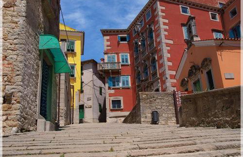 Apartman Gina - Photo 23