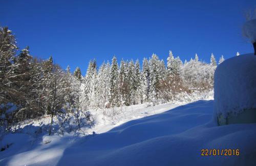 Berghütte Waldhäuser - Photo 32