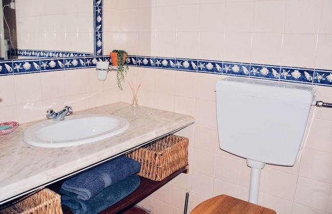 João Jungle - Foto 43