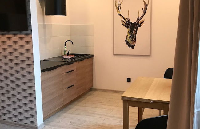 Apartmood Moniuszki - Foto 18