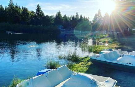 Snow Bunny Cottage, Pets Welcomed! - Foto 41