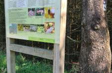 Haus Kellerwald - Ferienwohnung Kellerwald-Edersee - Foto 39