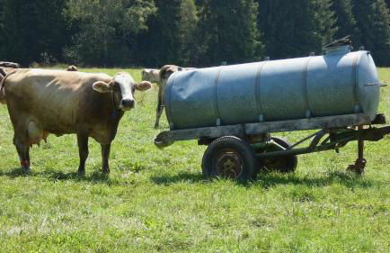 Ferienwohnung Nr 4, Lechbruck-Gründl, Allgäu - Foto 20