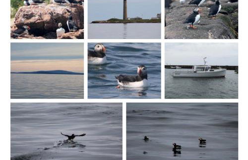 Cozy Coastal Cabin 4 - Foto 28