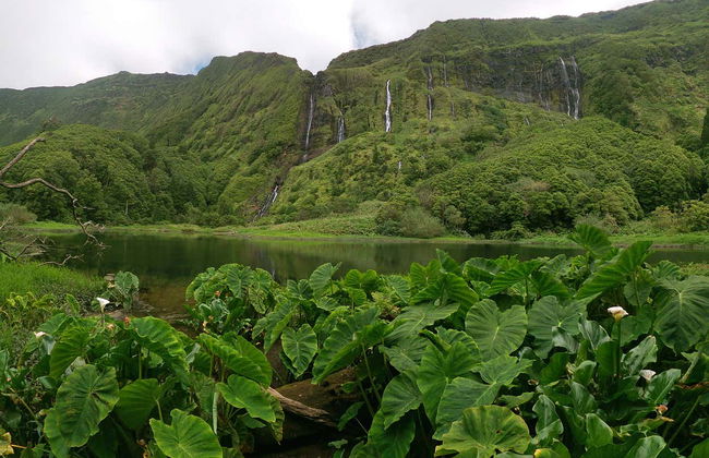 Tour dell'isola Flores al completo - Foto 2