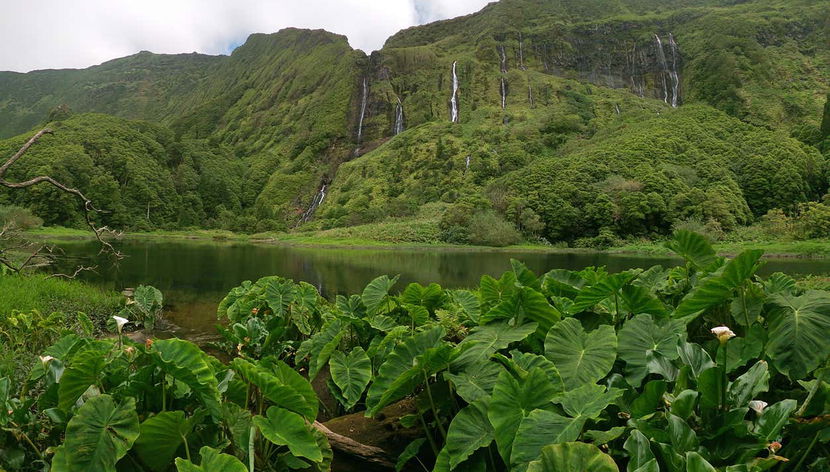 Poço da Ribeira do Ferreiro