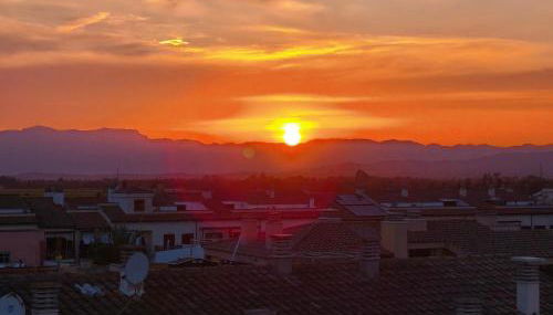 L'àtic dels flamencs - Foto 4
