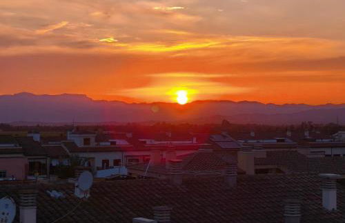 L'àtic dels flamencs - Foto 4