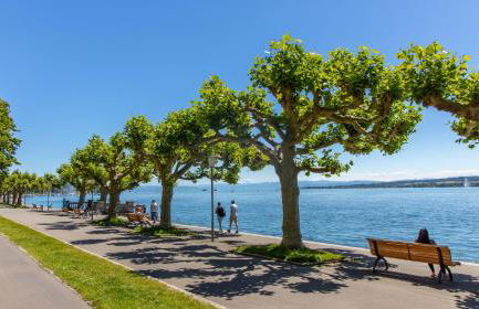 Copper House Altstadt Konstanz - Foto 40