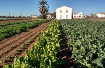 La Vista al mar de Belén - Foto 48
