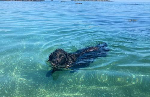 Cargibbitt Annexe - Foto 35