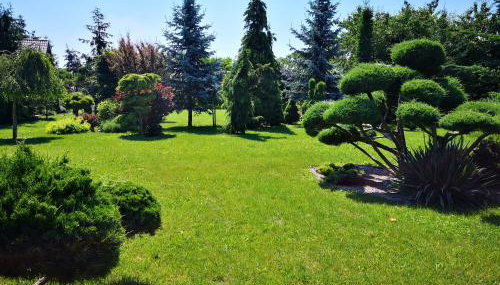 Oaza spokoju - Foto 4, Garden