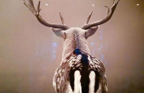 HOME Suites Loft mit Sauna - Foto 34