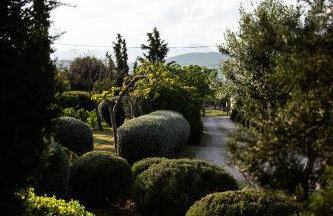 Villa Rosa with private pool, Athens Riviera - Foto 28