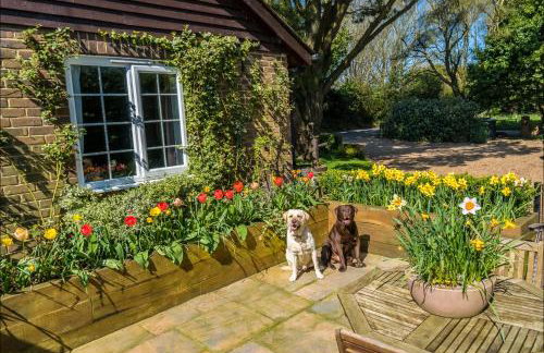 Swallows Nest - Covehurst Bay Cottage - Foto 37