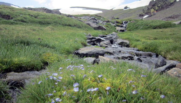 Viaje del Día de Sierra Nevada desde Granada - Grupo pequeño - Foto 3