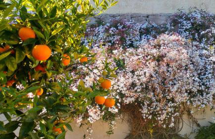 Villa La Musica - Foto 27