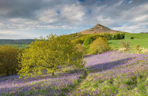 Broomfield Cottage Nr Pickering - DOGS STAY FOR FREE - Foto 47