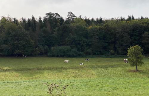 Casa Siepelunga - Photo 37