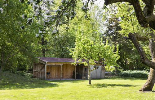 Reetdachhaus nahe der Ostsee mit Sauna und Garten - Foto 10