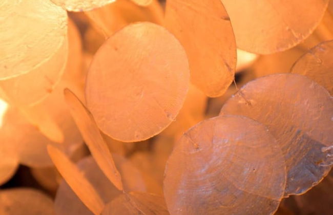 Rothay Villa - Photo 31