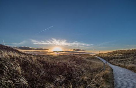 Arche Svea Kiebitz - Foto 22