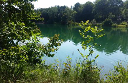 Lieblingsplatz - Foto 25