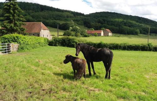 GITE Les Aubues - Foto 7