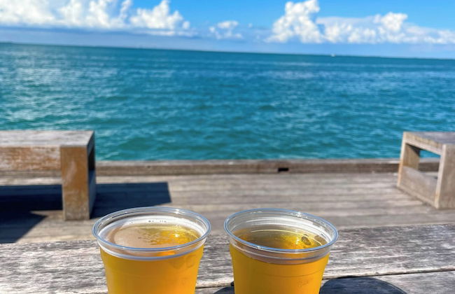 Sunshine Siesta - Hosted By SkyRun Anna Maria - Foto 79