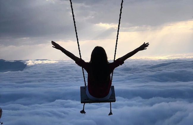 Konak Rize - Photo 24