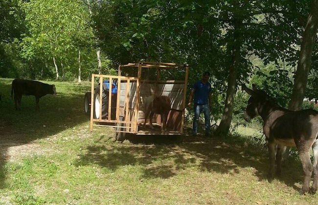 Agriturismo Tenuta del Daino - Photo 24