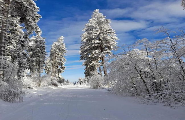 Apartment in Bavaria With Scenic Garden Views - Foto 37