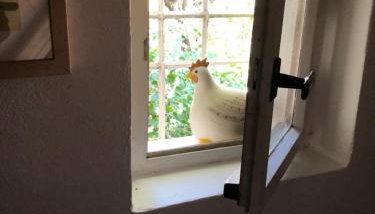 Ferienwohnung Beim Bienagassl - Foto 4