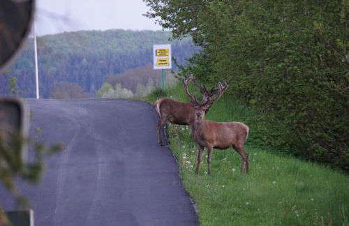 Wegfreiheit I - Photo 16